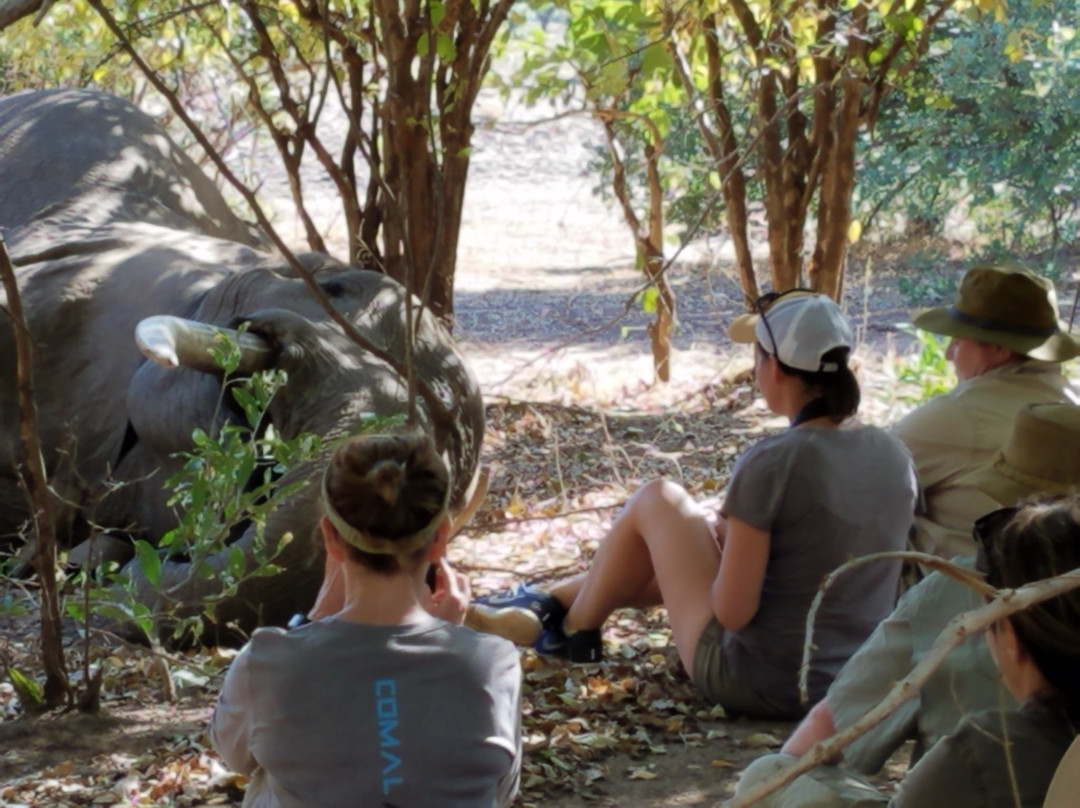Vundu Camp - Bushlife Safaris主图