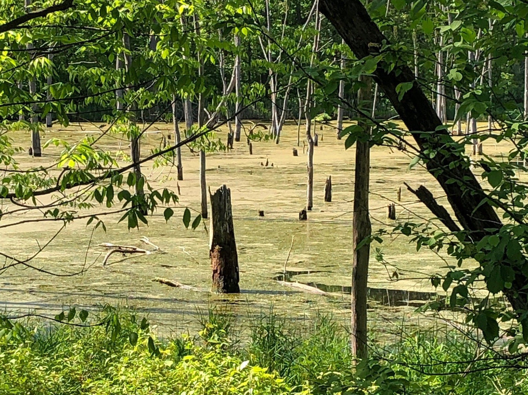 Lyon Oaks County Park-威克瑟姆必去景点