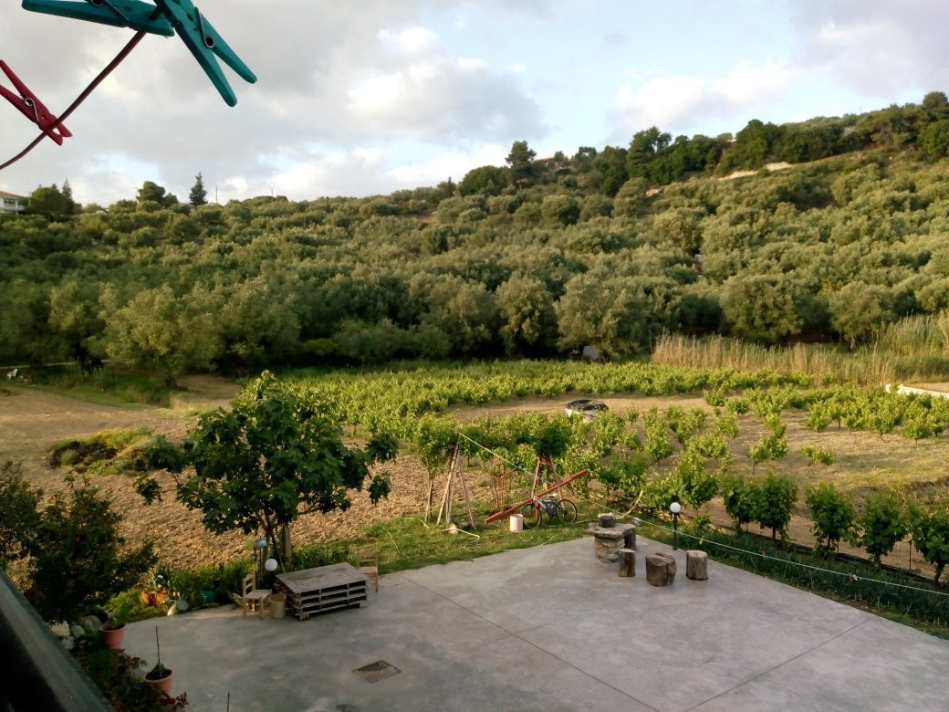 Pansion Porto Tsi Ostrias主图