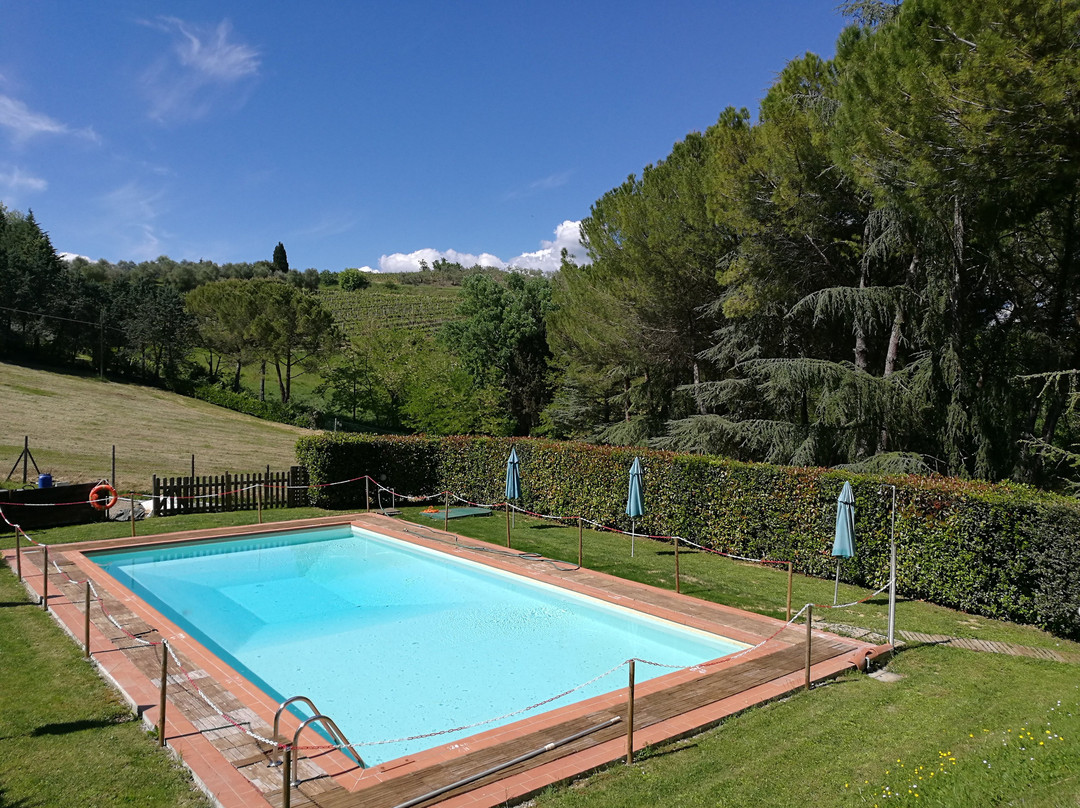 Antico Podere Il Bugnolo主图