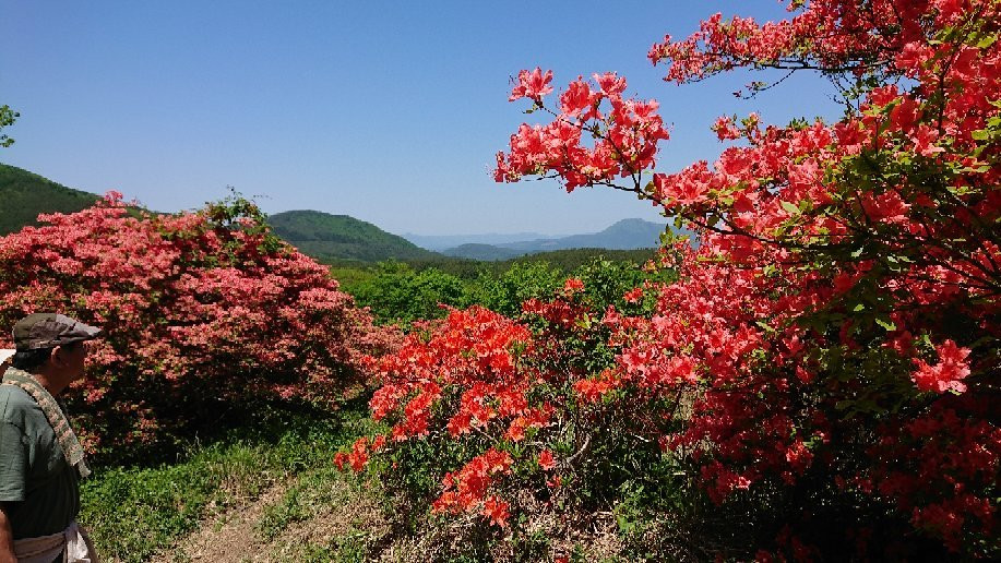 Mt. Tokusenjo-气仙沼市必去景点