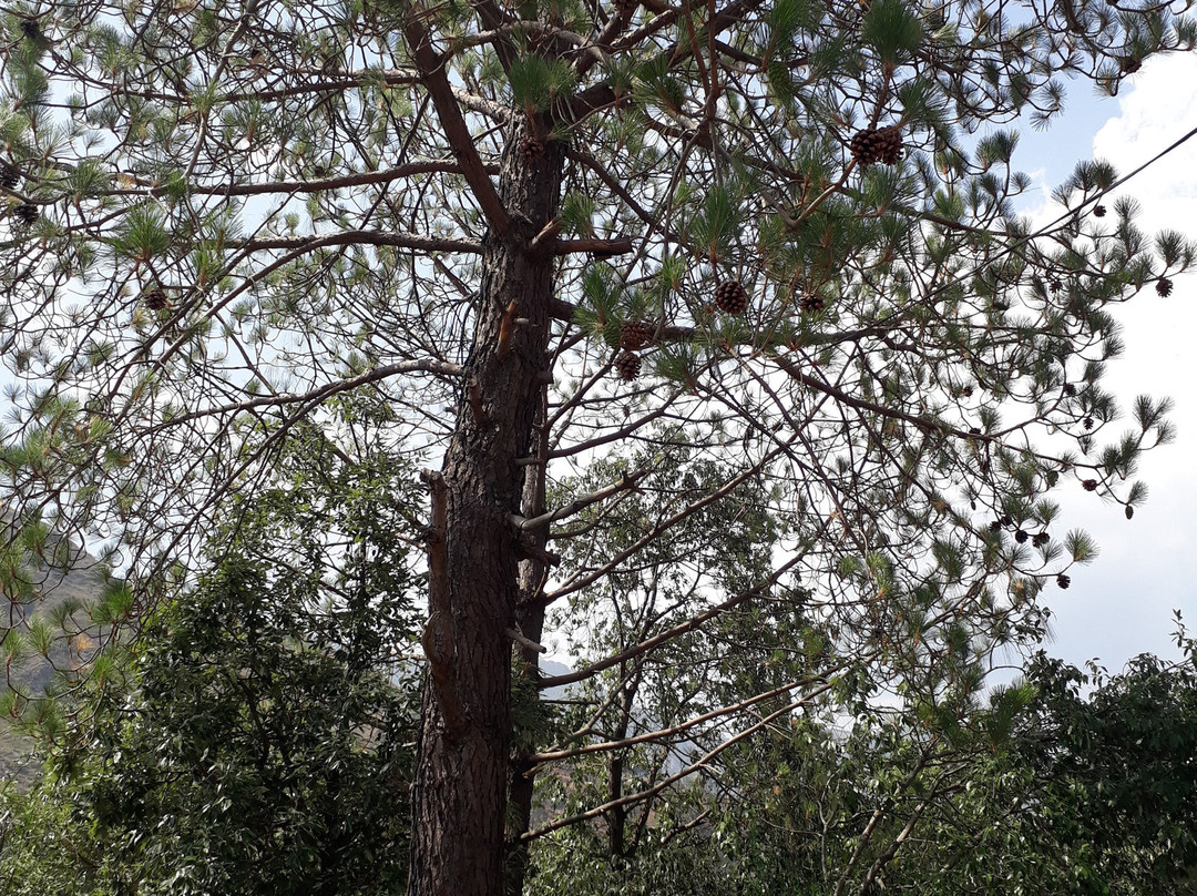 The Hermitage Kailash主图