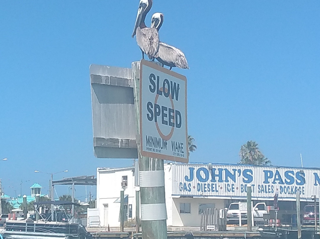 Mad Beach Paddlesports-特雷热岛必去景点