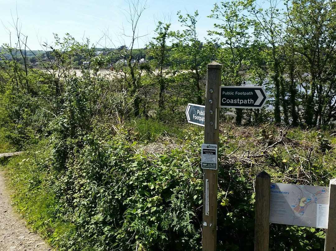RSPB Hayle Estuary-Hayle必去景点