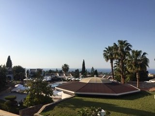 The Olive Tree Hotel主图