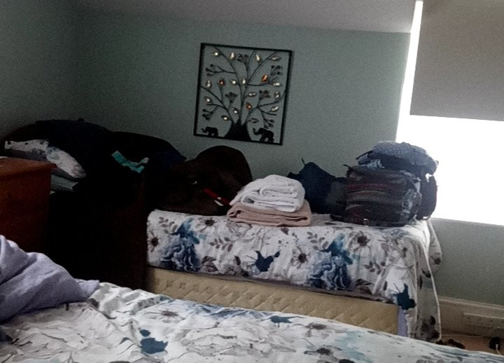 Sydney House主图