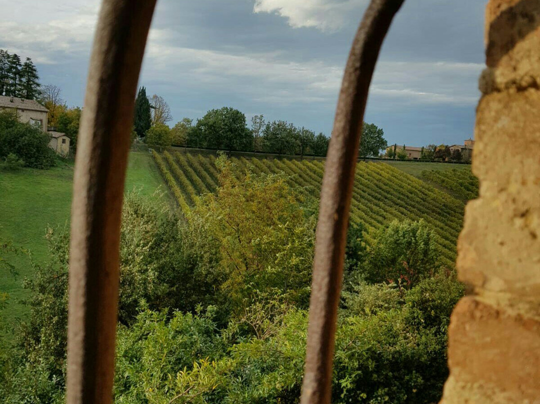 Rosso Graspa - Museo del vino e della società rurale a Levizzano-Levizzano Rangone必去景点