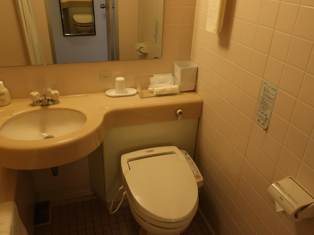 Tsuyama Kakuzan Hotel主图