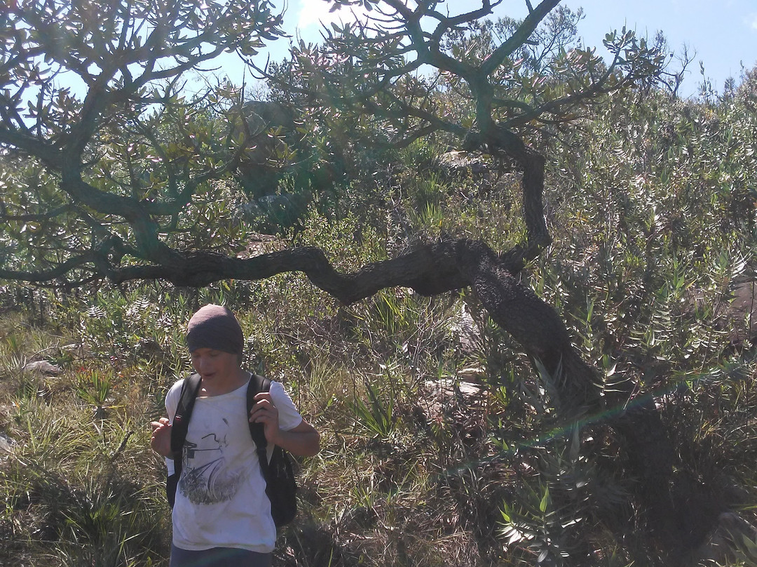 Serra dos Alves-Itabira必去景点