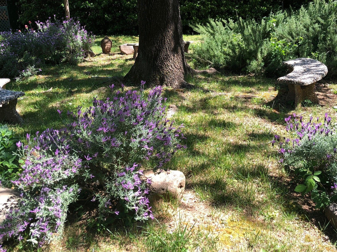 Backyard Garden Oasis B&B主图