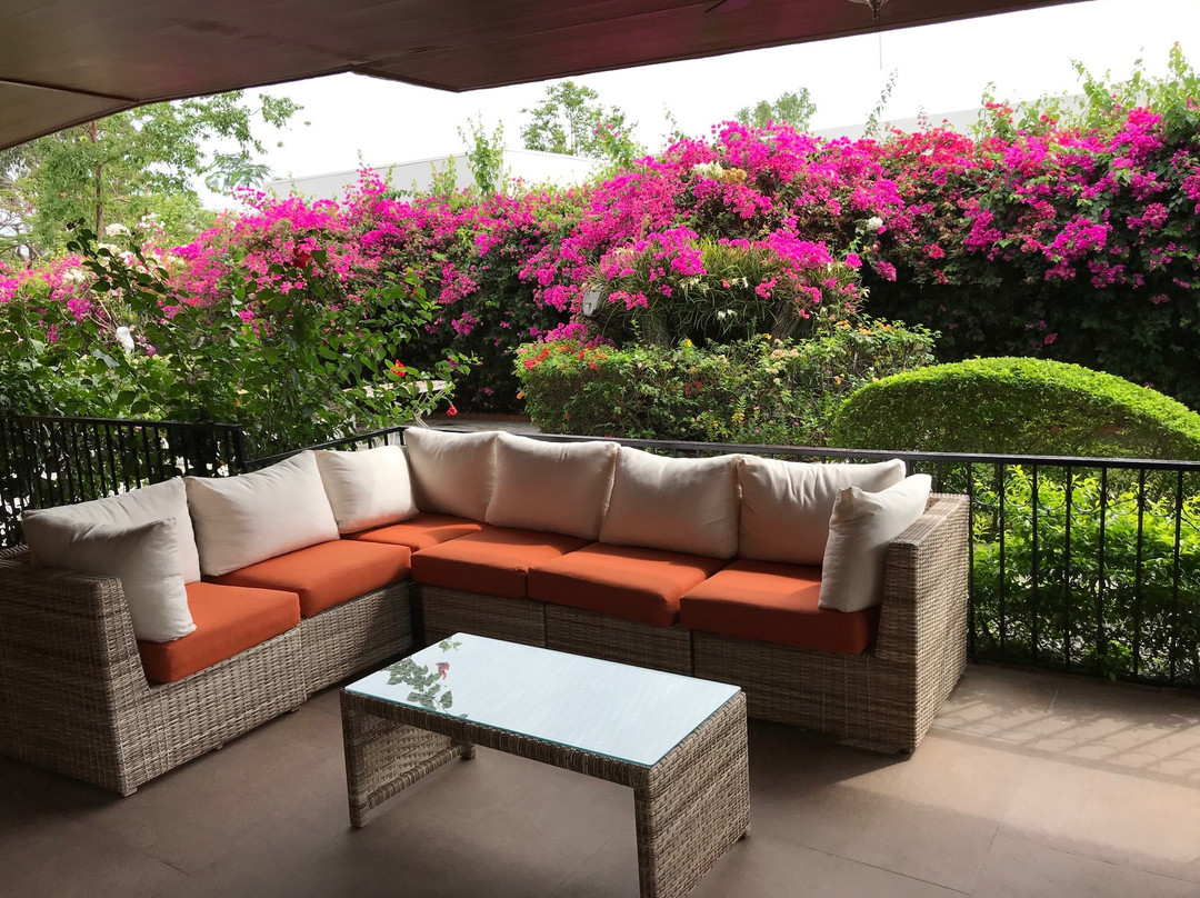 Casa de Los Suenos Bed and Breakfast主图