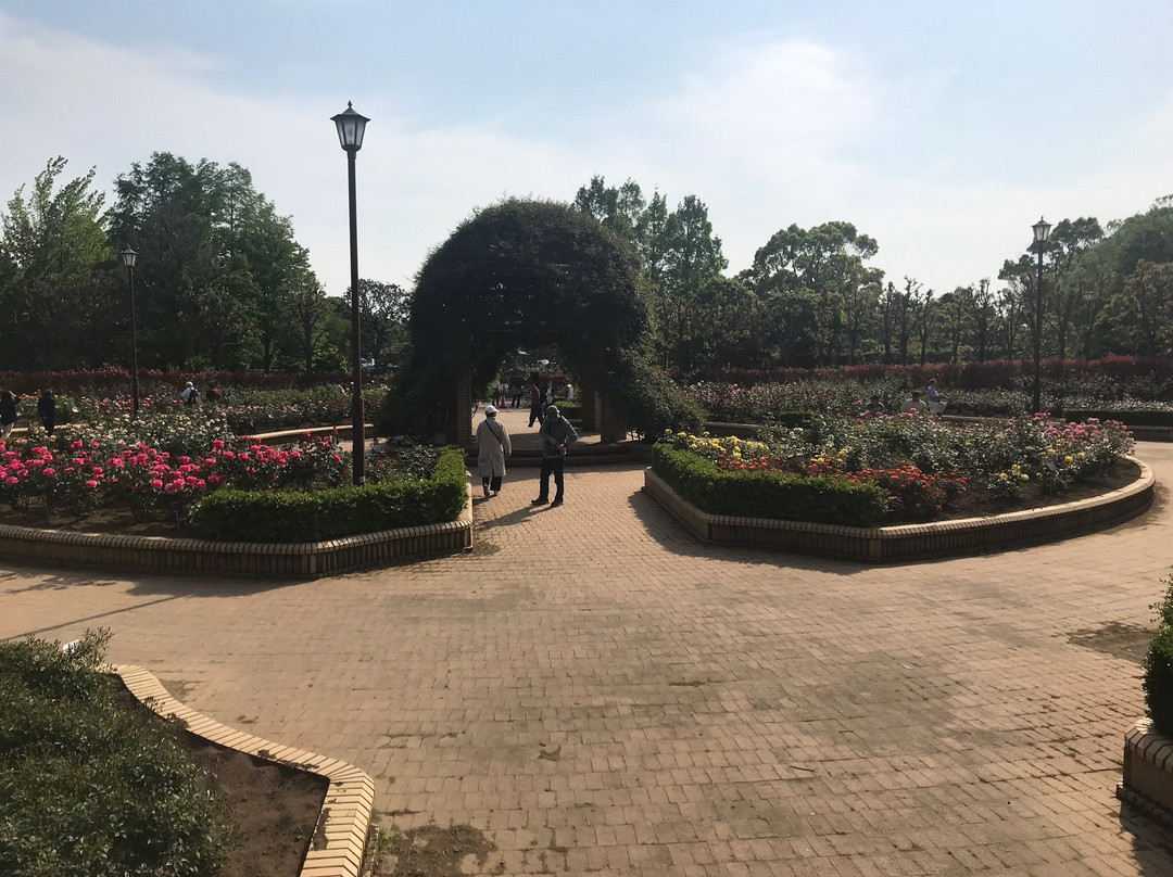 Chiba Kashiwanoha Park-柏市必去景点