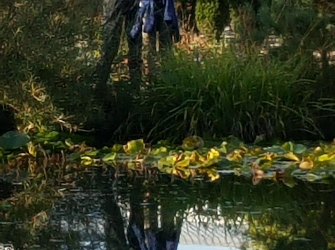 Artrium am Park主图