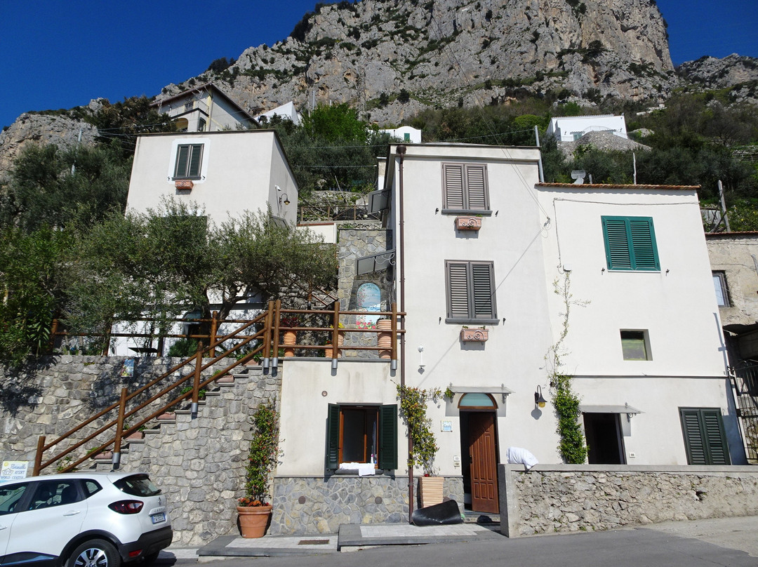 World Center Resort主图