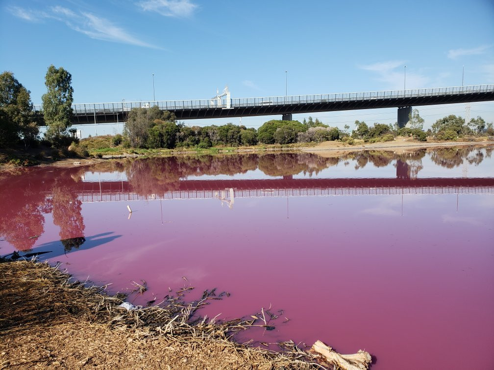 Salt Water Lake-墨尔本必去景点