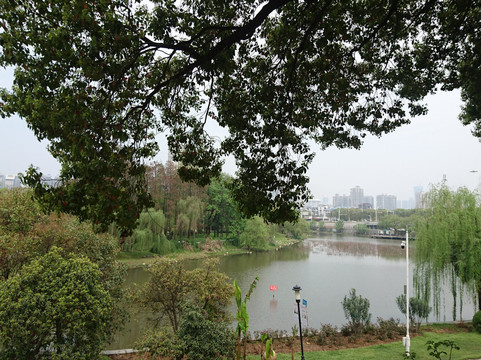 月湖公园-武汉市必去景点