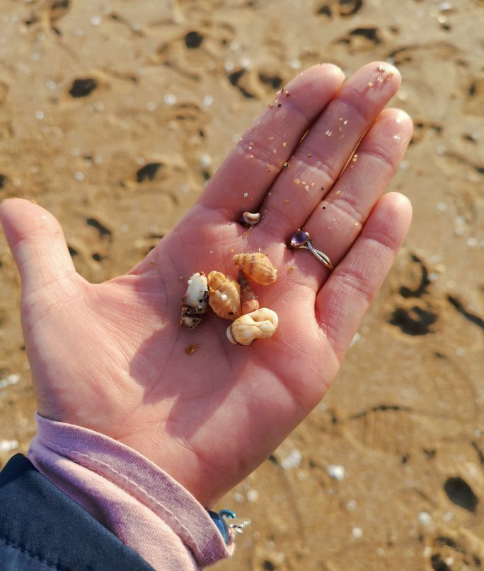 Plage des Minimes景点图片