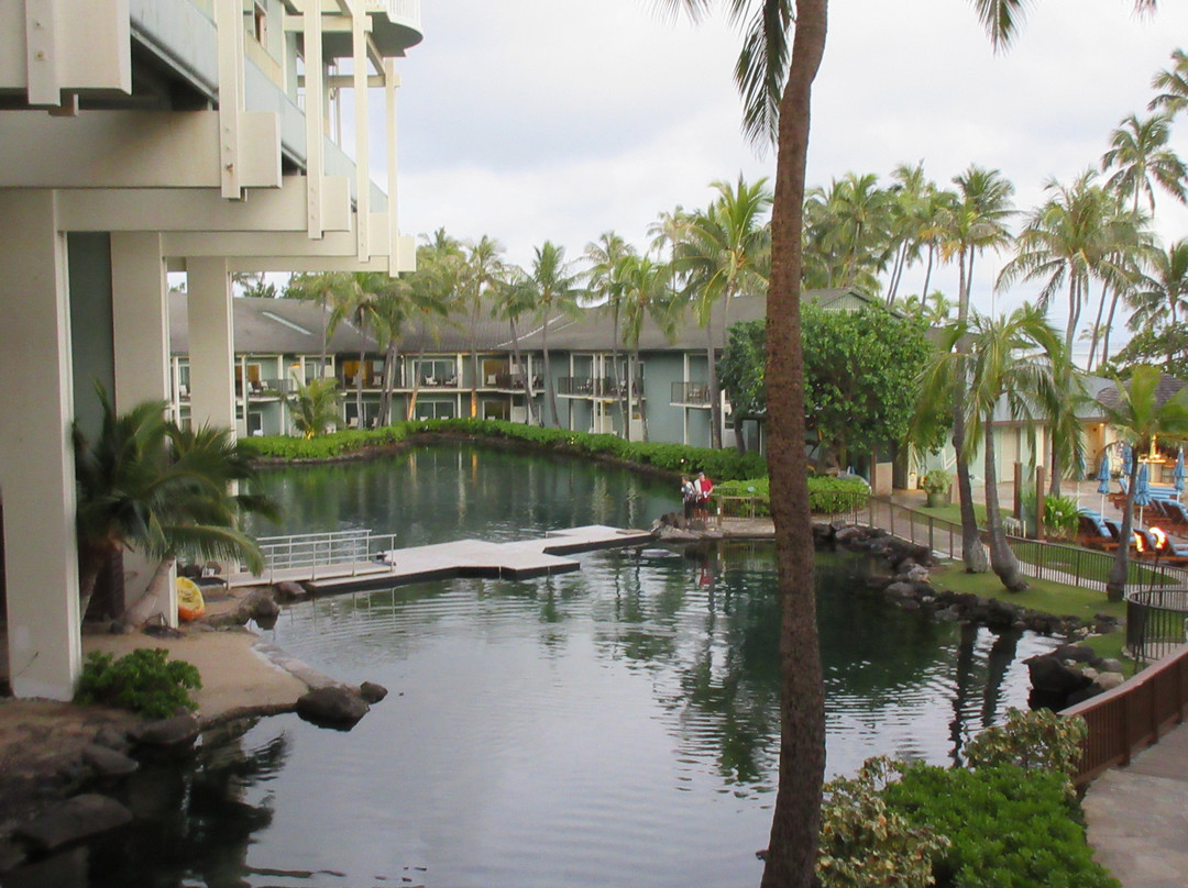 卡哈拉酒店度假村主图