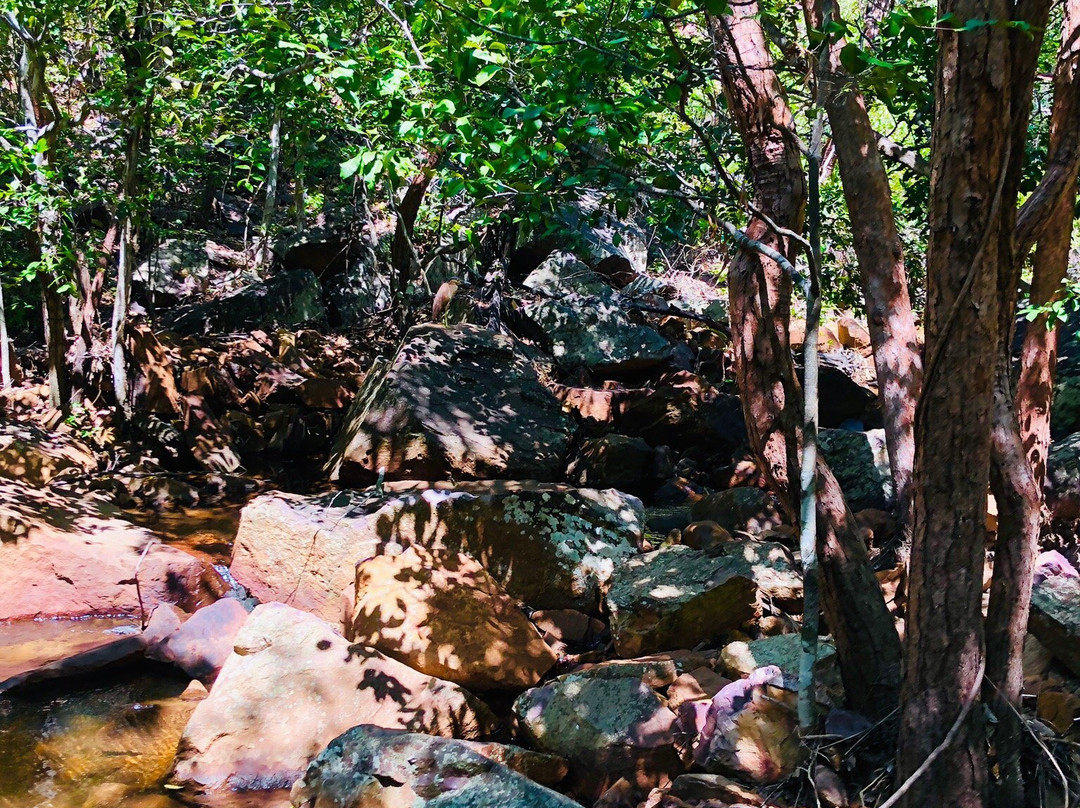 Robin Falls-Adelaide River必去景点