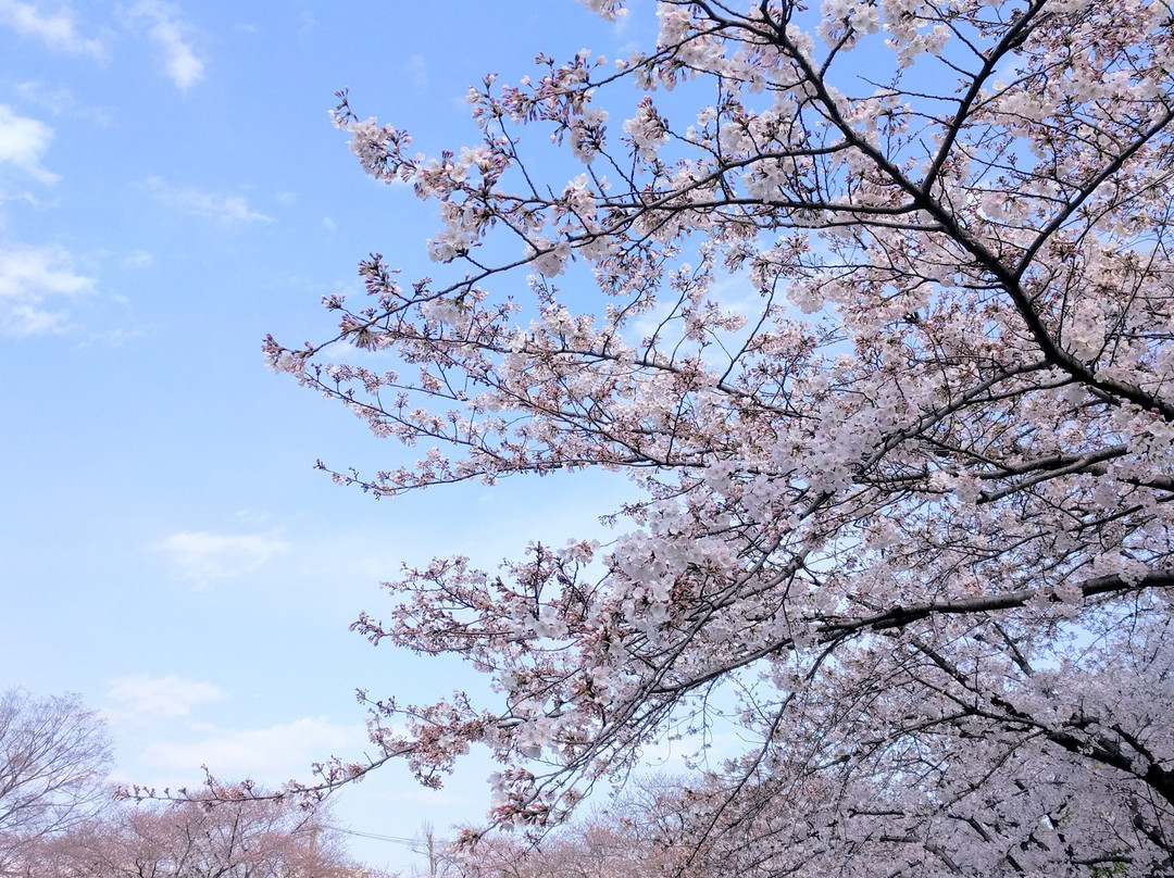 Motofuchi Park-足立区必去景点
