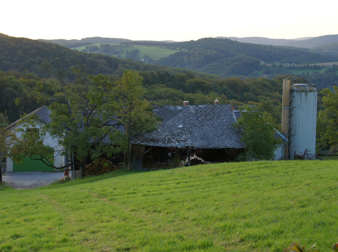 Biosphärenpark Wienerwald-Tullnerbach必去景点