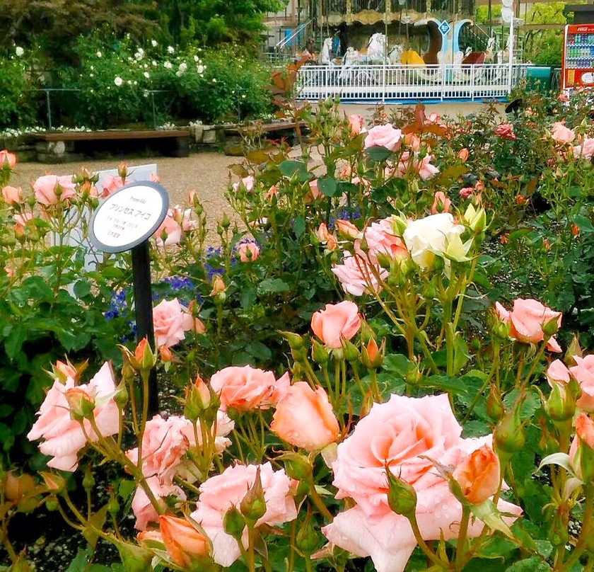 枚方市旅游攻略图片