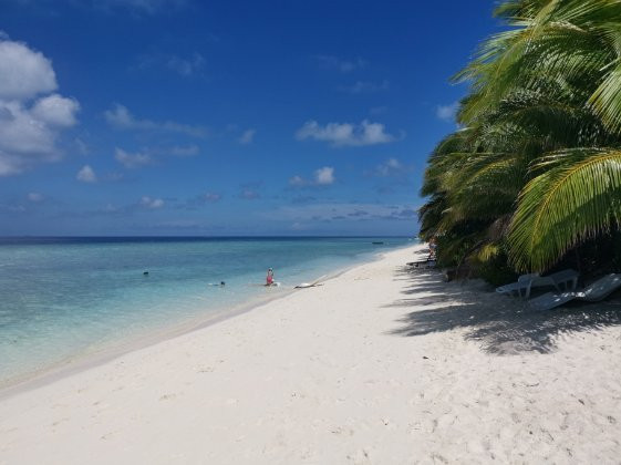 Nala Veli Beach & Spa主图