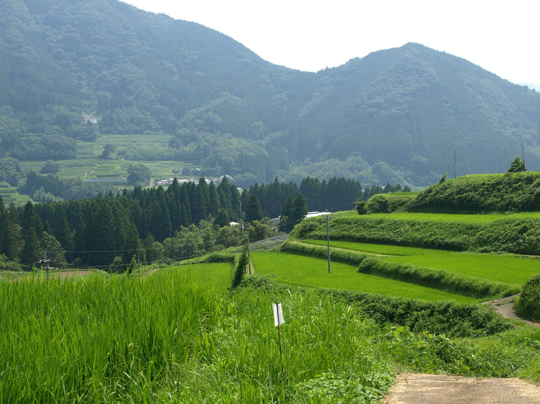 Tochimata Tanada Rice Terrace景点图片