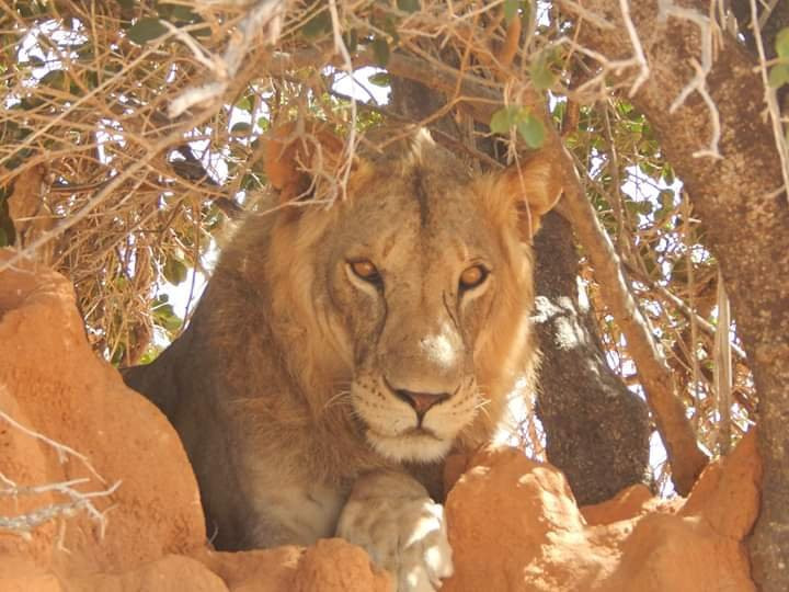 Kenya Watamu Safaris-瓦塔木必去景点