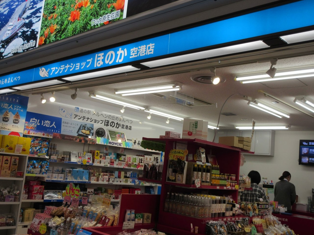 Antenna Shop Honoka Airport-大空町必去景点
