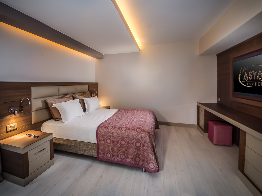 Elit Asya Hotel主图