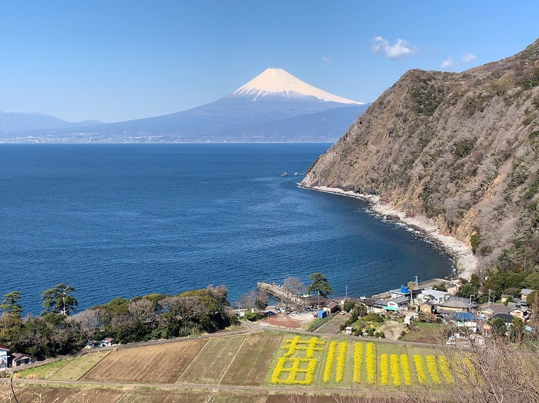 Kirameki no Oka Observation Area景点图片