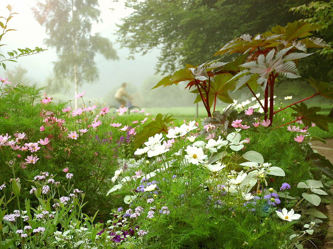 Plantaget景点图片