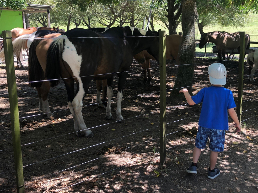 Estancia Renacimiento - Day Tour-Canelones必去景点