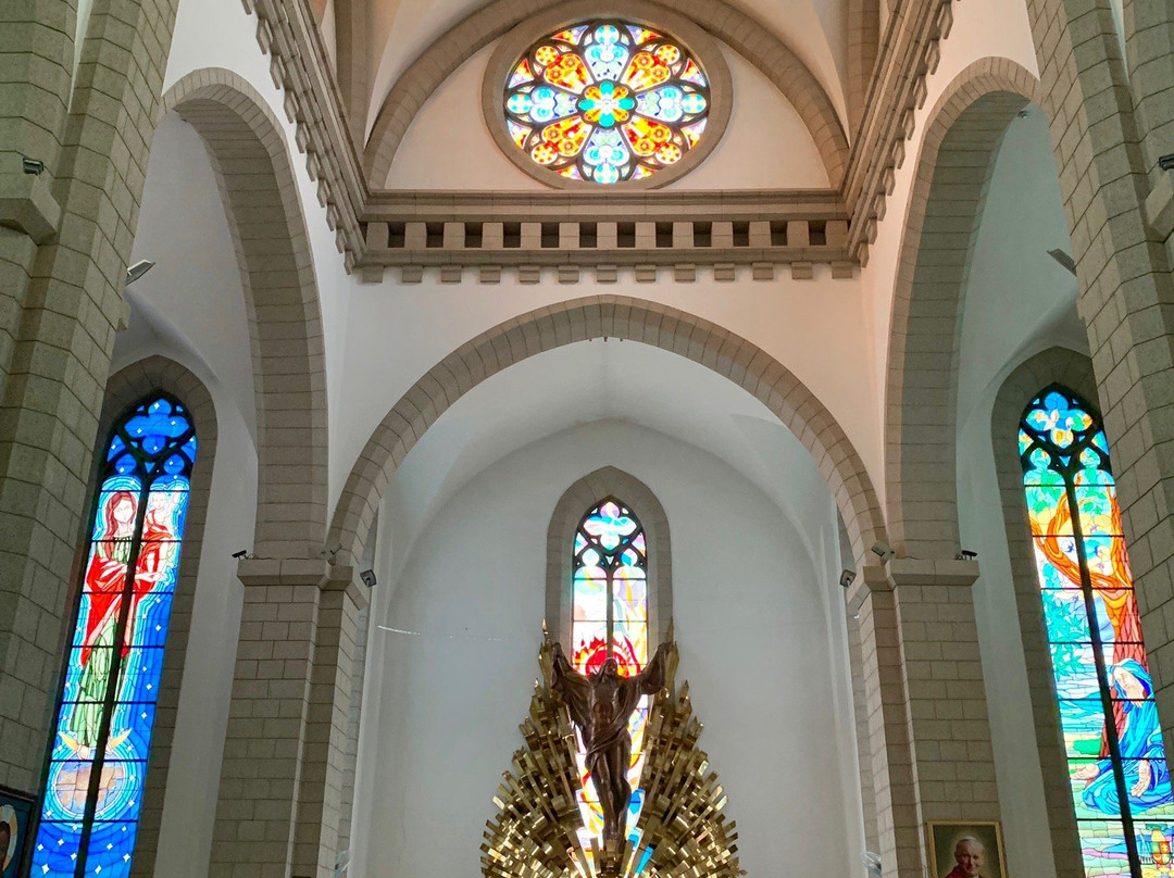 Sacred Heart of Jesus Cathedral-塔什干必去景点