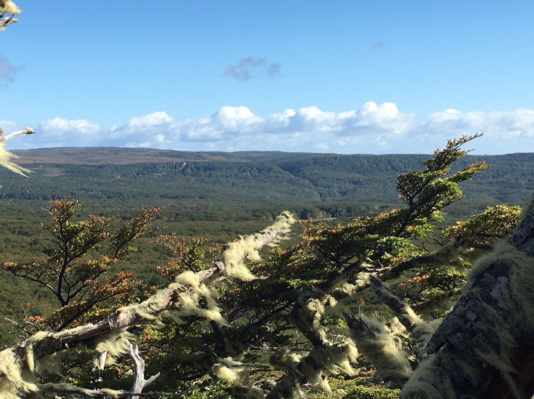 Indomita Adventures Patagonia-蓬塔阿雷纳斯必去景点