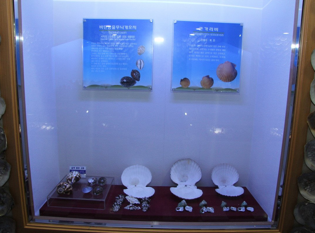 Hwajinpo Maritime Museum-高城郡必去景点