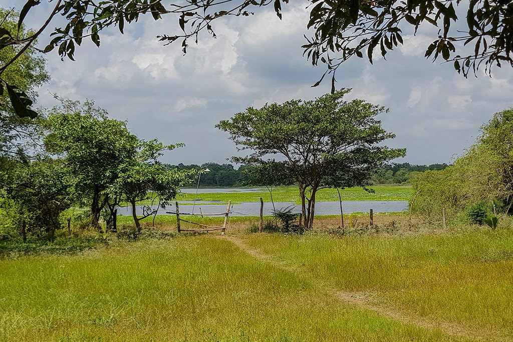 Wilpattu Teal Cottage主图