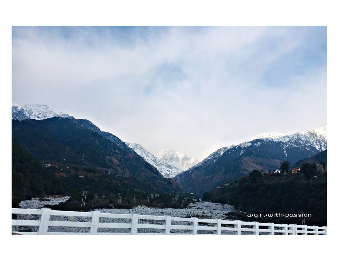 River View Homestay at Barot  Himachal Pradesh主图