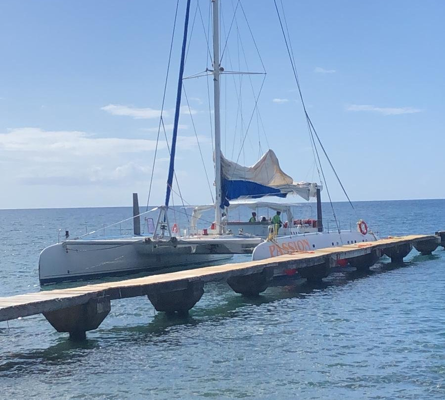 Anchorage Hotel Whale Watching-罗索必去景点