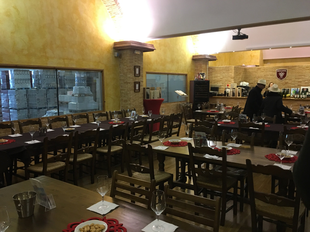 Bodegas Bocopa-阿利坎特省必去景点