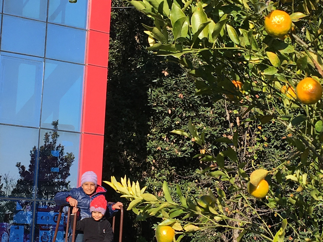 Himalaya Darshan Resort主图