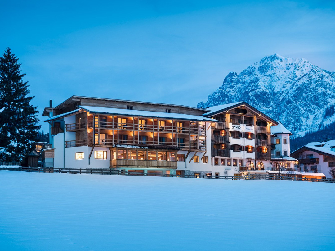 Hotel Mareo Dolomites主图