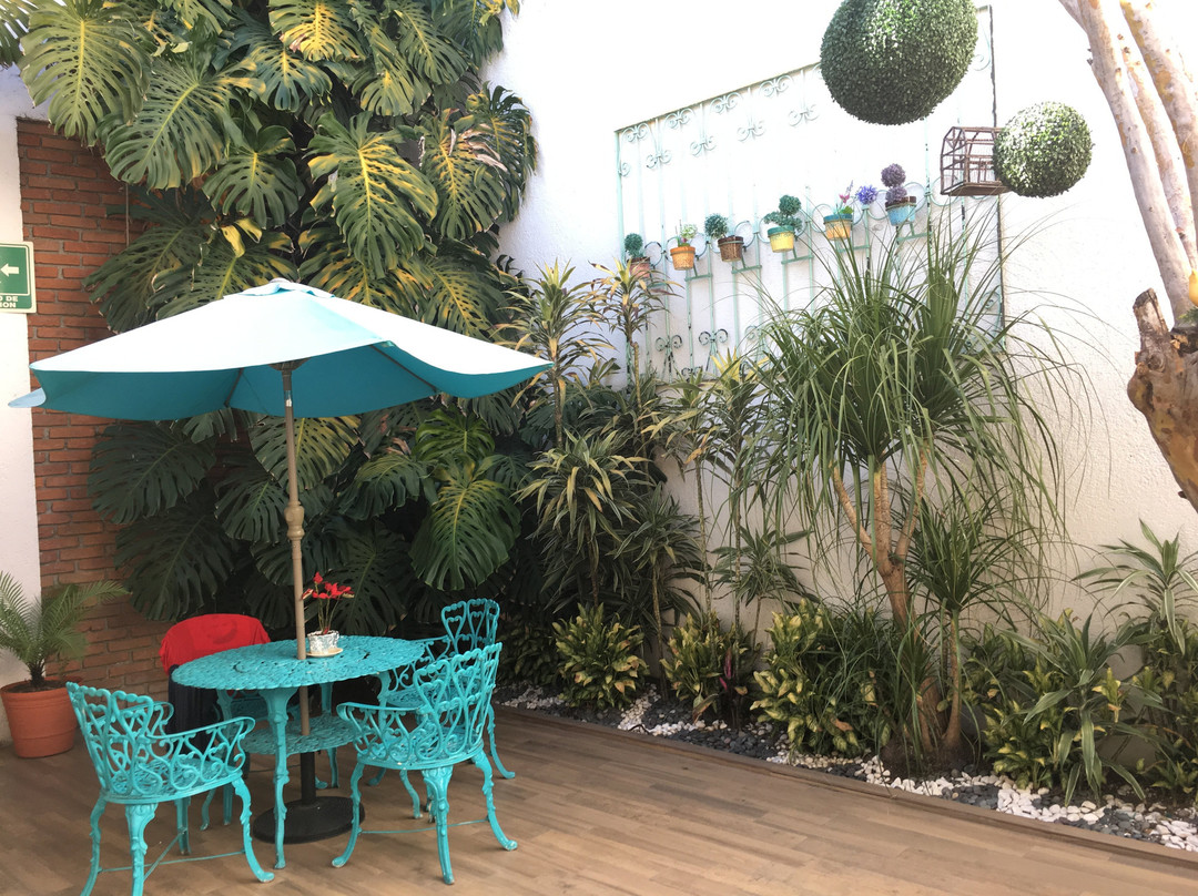 Casa Jose Maria Hotel主图