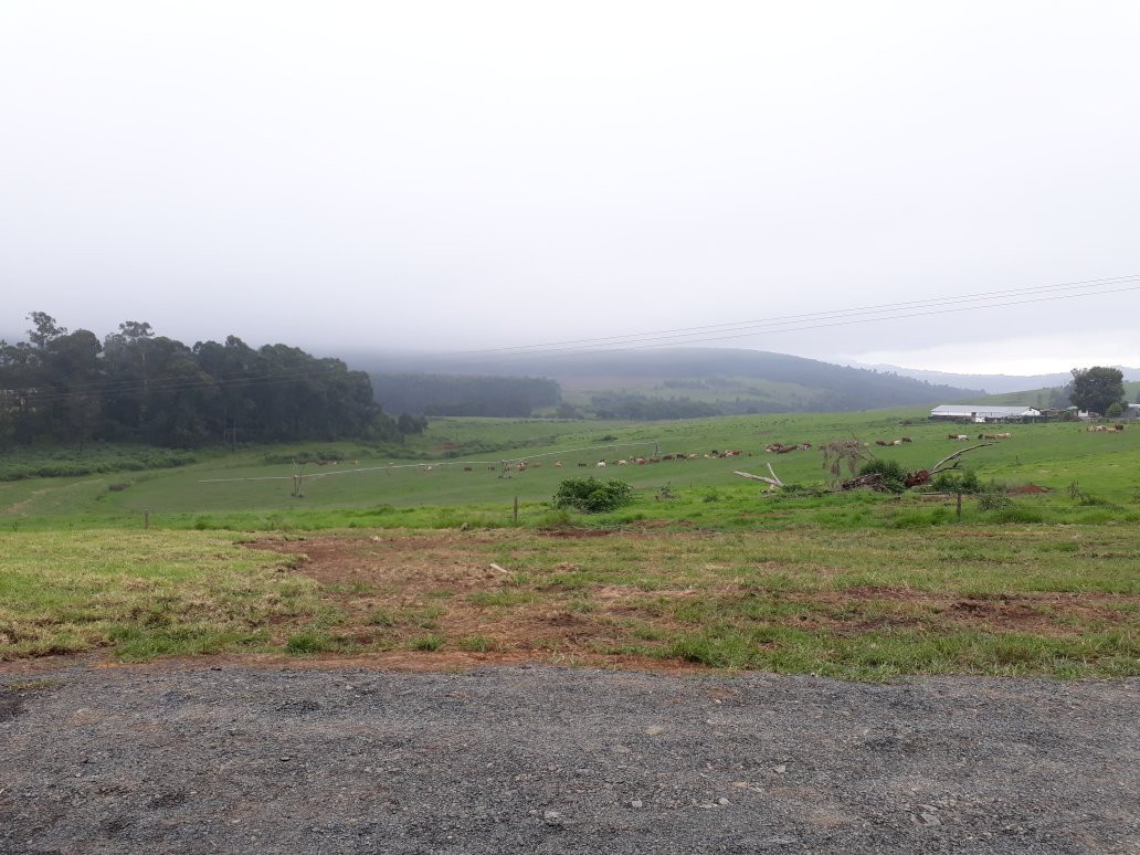 Karkloof Farmer's Market-豪威克必去景点