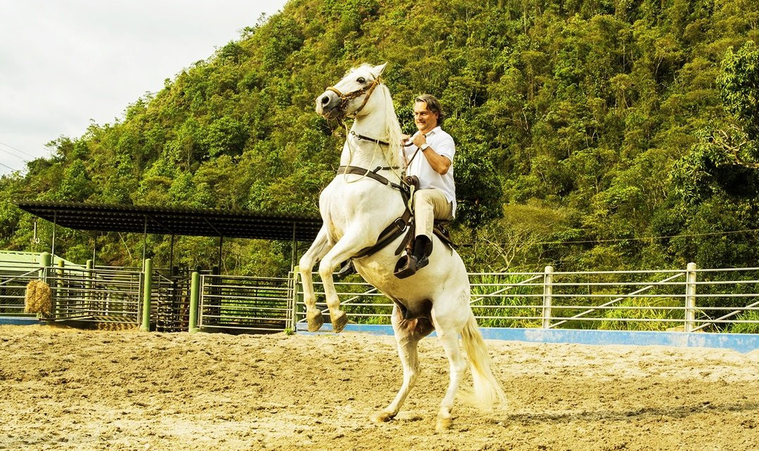 Parque Ecologico Rancho Los Leones景点图片