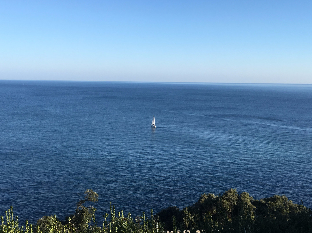 阿尔贝酒店主图