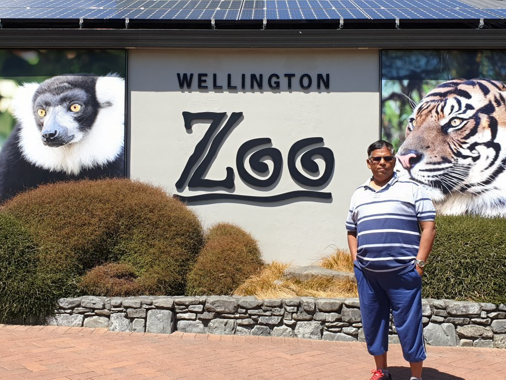 Wellington Zoo景点图片