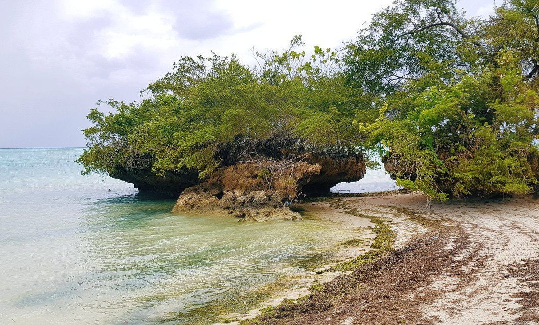 Kapota Island景点图片