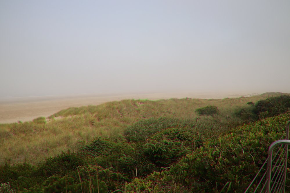 Governor Patterson Memorial State Recreation Site-Waldport必去景点